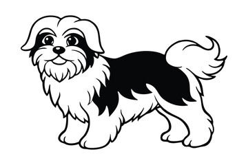 A Shih Tzu vector art illustration.eps