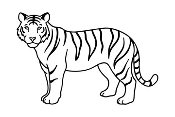 A tiger line art illustration.eps