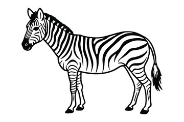 A zebra line art illustration.eps