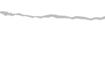 Torn Paper Edge Graphic with Textured Grey Tear and White Background for Design Element, Adding a Layered or Distressed Aesthetic to Projects, suitable for Textures and Overlays
