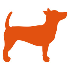 Dog Stands at Attention Obedience Stands Still Design Lover Art Vector Illustration Card T-Shirt Poster Sticker Graphic Print Decorative Drawing Isolated Logo Decoration Symbol Creative Cool Style
