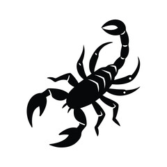scorpion silhouette isolated on white background