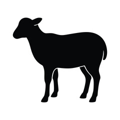 sheep silhouette isolated on white background