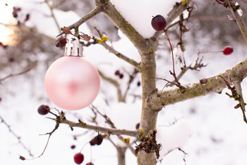 tree in snow