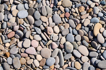 Varied smooth pebbles scattered on a sunny beach creating a calming natural landscape