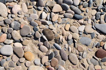 Colorful pebbles scattered across a sandy beach creating a picturesque natural mosaic in bright sunlight