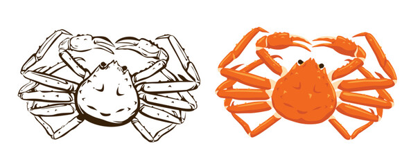 Snow crab Vector eps 10. background, perfect for wallpaper or design elements