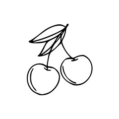 vector illustration of a cherry