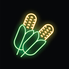 Neon sign showing two corn cobs glowing on black background