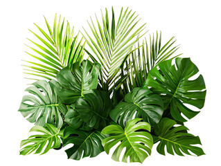 Lush Tropical Foliage Behind Green Leafy Background
