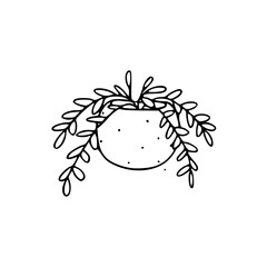 Fototapeta premium a line art drawing of a ornamental plants in pots illustration