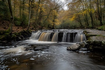 waterfall in the forest , Generative AI	