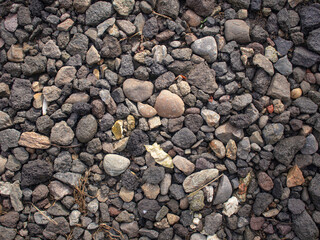 Small pebble rocks. These gravels are often used in yards.