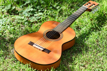 Guitar lies on grass in summer