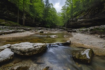 Obraz premium stream in the forest, Generative AI