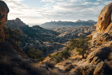 Naklejka premium national park, Generative AI