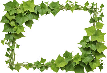 Frame Border of Lush Green Ivy Leaves, Intertwining and Winding Around the Edges, Isolated