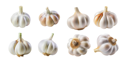 Fresh Garlic Bulbs, PNG collection, set bundle, isolate on transparent or white background