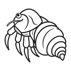 Vector Outline of a Highly Detailed Hermit Crab Illustration