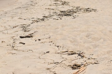traces on sand