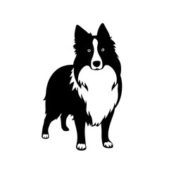 Border collie dog illustration icon, black silhouette vector