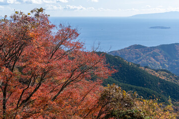 湯河原町の椿ラインの椿台から見る紅葉の景色