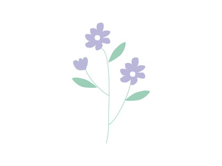 flat hand drawn flower vector illustration on transparent background