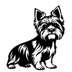 Yorkshire terrier dog illustration icon, black silhouette vector