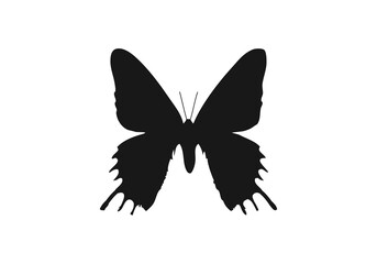 butterfly silhouette logo png template logo icon vector illustration
