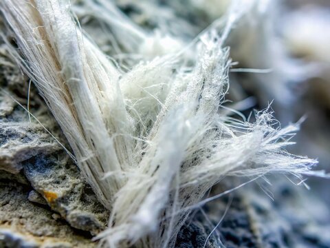 Microscopic Asbestos Fibers in Rock: Hazardous Mineral Close-Up