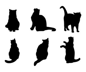 Cats feline animals collection silhouette illustration