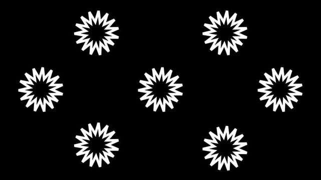  White Star Efects  Fireworks on Black Canvas.