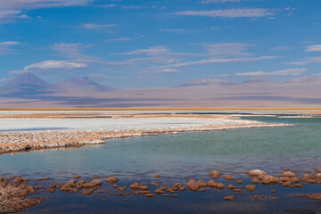 Laguna tebinquiche a salt pound in the desert