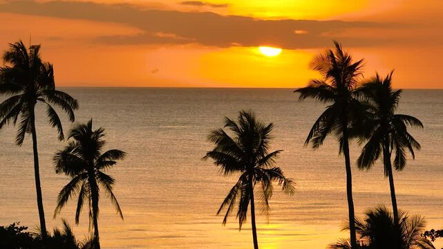Golden orange Sunset over the sea and coconut trees in Santa Fe, Tablas, Romblon. Philippines.