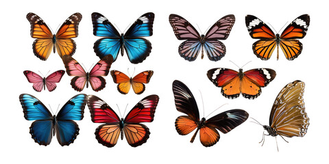 Colorful Butterflies on Transparent Background