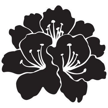 recommend clip art: Azalea flower silhouette vector, Azalea silhouette, Azalea silhouette black clipart