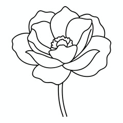 vector line art flower design 