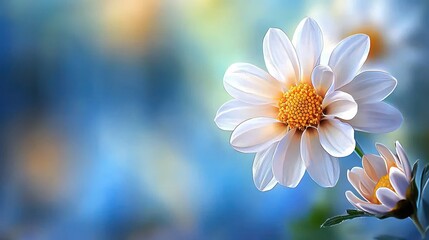 Delicate White Flower with Yellow Center Against a Soft Blurred Background of Colors in Nature