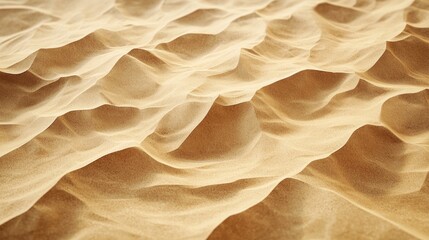 Obraz premium Exploring the Beauty of Desert Sand Dunes