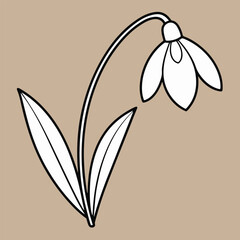 vector line art flower design 