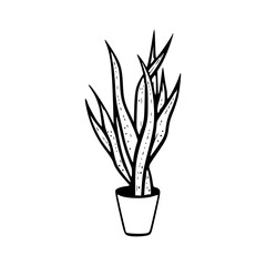 a line art drawing of a ornamental plants in pots illustration