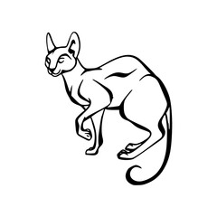 outline vector of a hairless sphynx cat