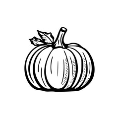 a black and white drawing of a pumpkin on a white background