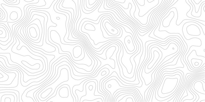 Abstract topography pattern lines sea map area space geometric strip grid line topo map technology modern design white background.  
