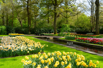 Obraz premium flowers in spring garden