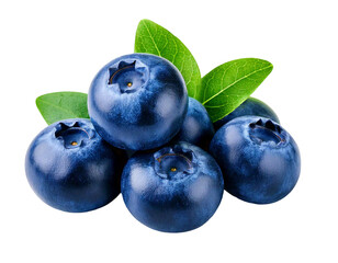 Blueberry with leave on white background, cut out