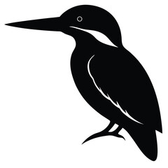 silhouette of Kingfisher Bird vector image illustration and artwork on white background
