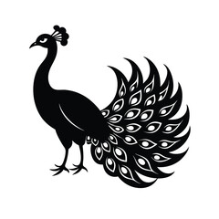 silhouette of a peacock vector image illustration and artwork on white background