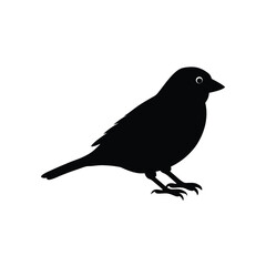 silhouette of sparrow vector image illustration and artwork on white background