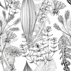 dandelion, thyme, lily of the valley, sundew plant with leaves and flowers, botanical illustration. seamless pattern hand drawn with pencil on a white background. for the design of books, medical refe